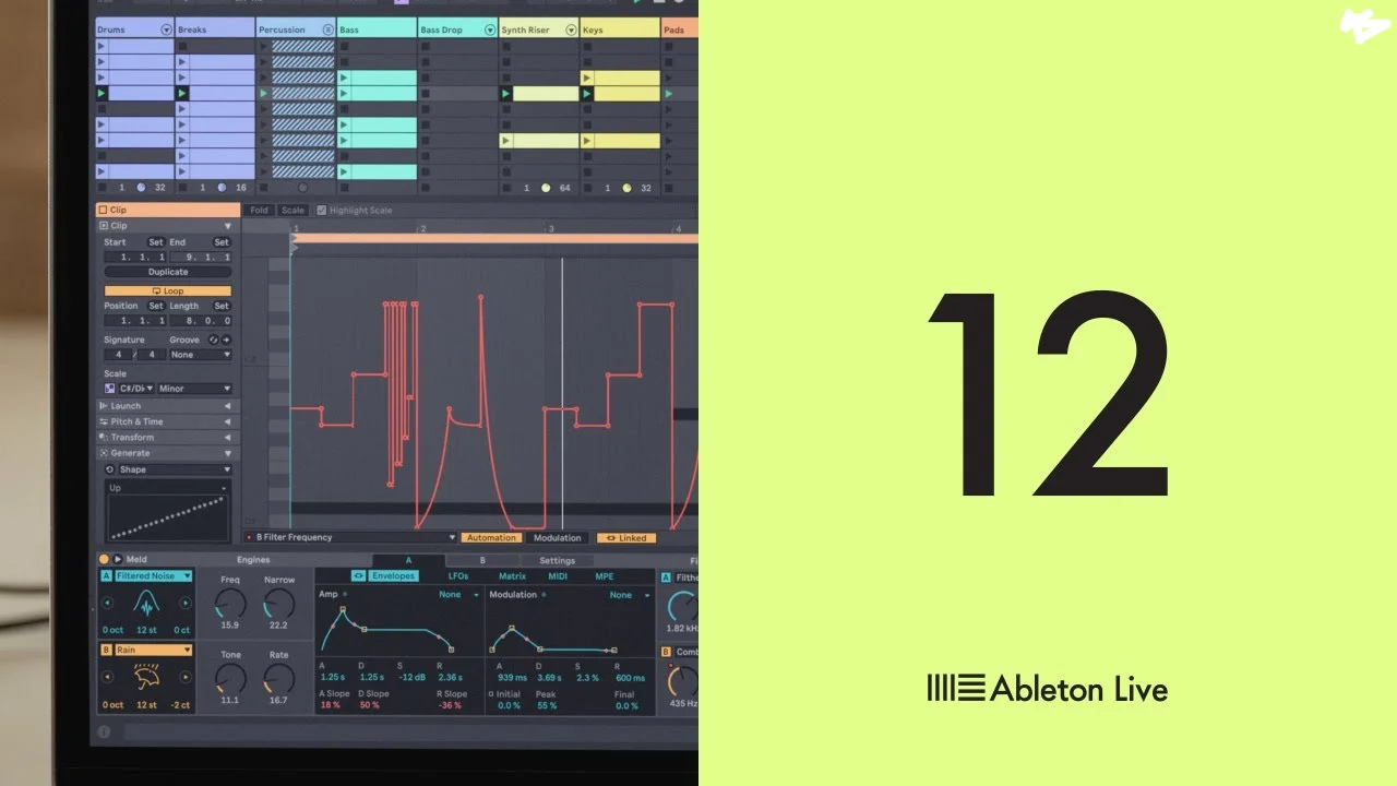 Ableton Live 12/11 (Suite, Standard, Intro)