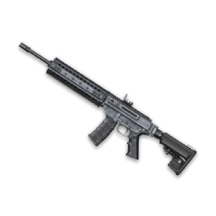 MPAR-556 (1 day)