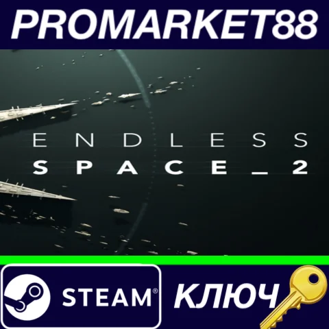 ⭐ Endless Space 2 Steam КЛЮЧ  ЕВРОПА