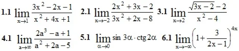 IDZ Ryabushko Option 1 KR "Limits"