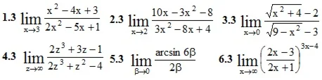 IDZ Ryabushko Option 3 KR "Limits"