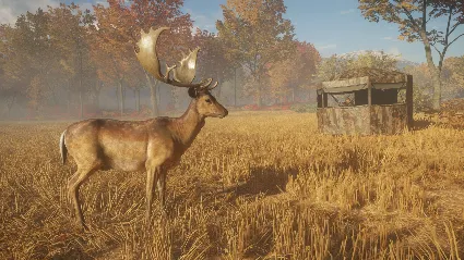 ⭐ theHunter: Call of the Wild Gold Bundle Steam КЛЮЧ
