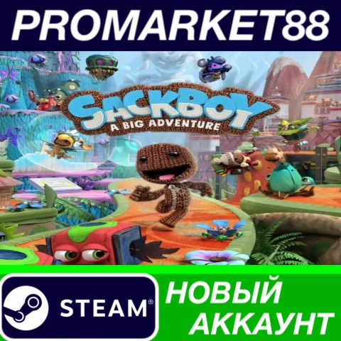  Sackboy: A Big Adventure Steam АККАУНТ +ПОЧТА