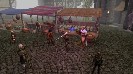 Neverwinter Nights: Enhanced Edition Doom Icewind Dale