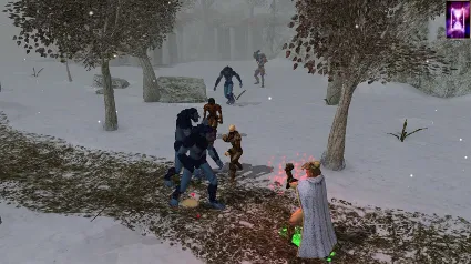 Neverwinter Nights: Enhanced Edition Doom Icewind Dale