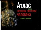 Атлас нервой системы человека  Астапов В.М. 2004г.