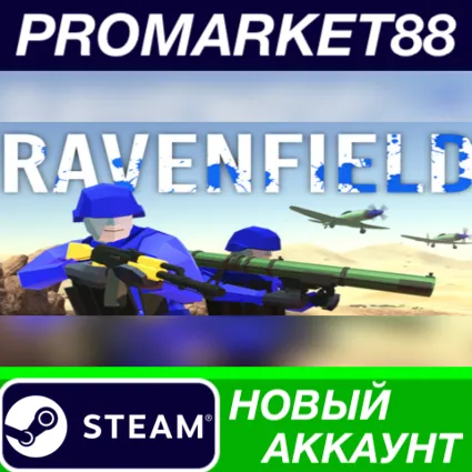 ✅ Ravenfield Steam АККАУНТ НОВЫЙ +ПОЧТА 🟢