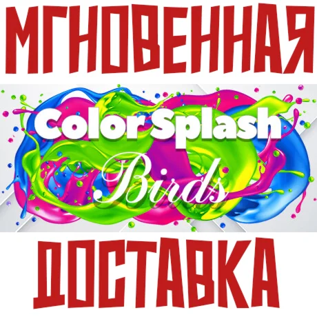 Color Splash: BirdsSteam\РФ+Весь Мир\Key⭐