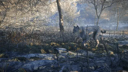⭐ theHunter: Call of the Wild - Medved-Taiga DLC EU Ste