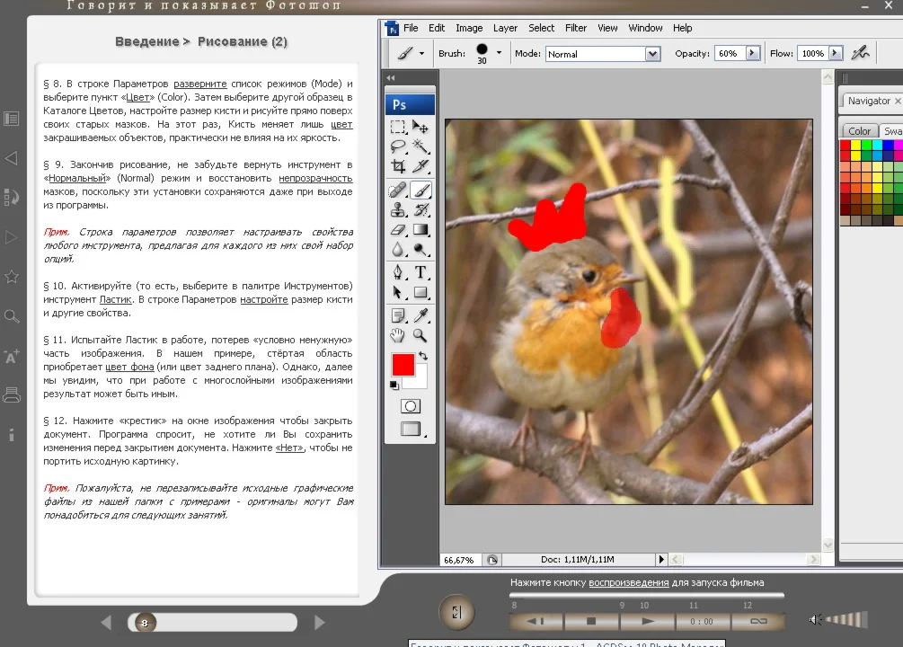 Oбучение фотошоп v.1.0 (видео)