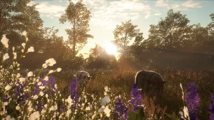 ⭐ theHunter: Call of the Wild - Mississippi Acres Prese