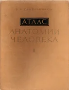 Атлас анатомии человека в 3 томах  Синельников Р.Д.