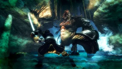 ⭐ Risen 2: Dark Waters Steam КЛЮЧ 🔑 ЕВРОПА