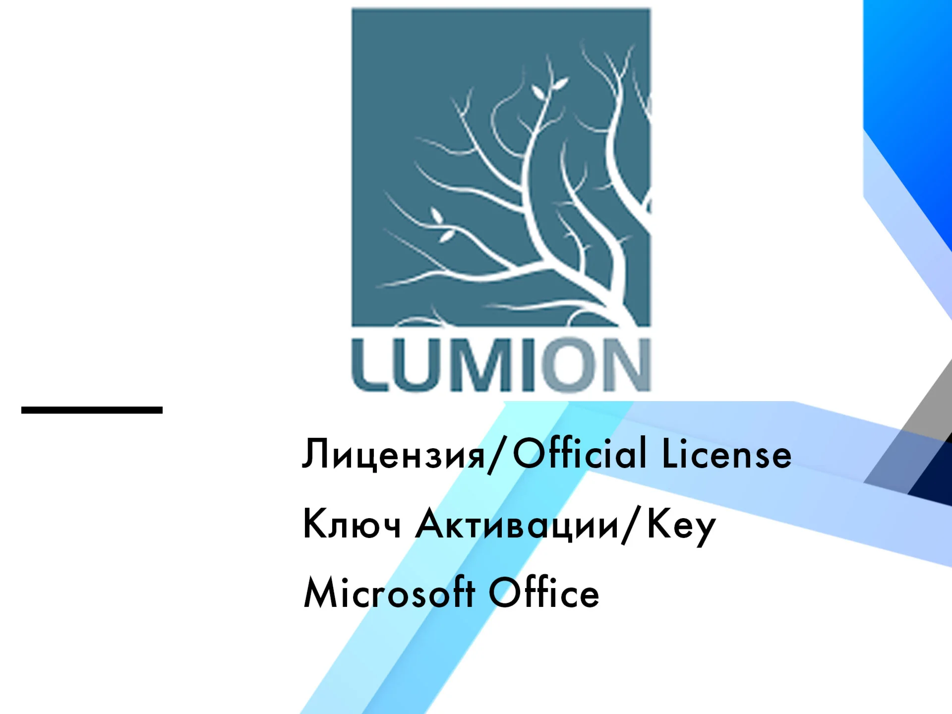 Lumion Pro 12 месяцев ключ