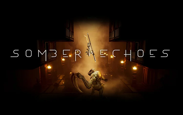 Somber Echoes (steam key)