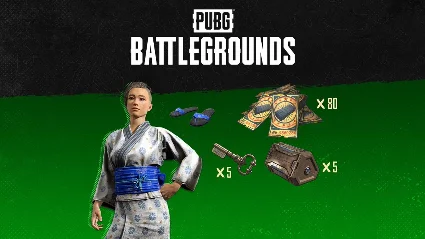 ⭐ PUBG Battlegrounds - 2023 Summer Pack DLC XBOX One /