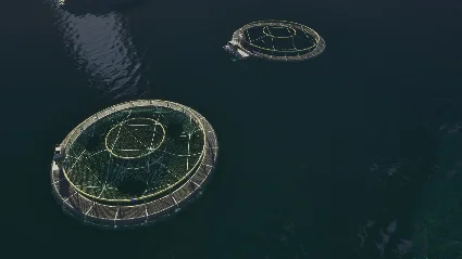 ✅ Ships At Sea Steam АККАУНТ НОВЫЙ +ПОЧТА 🟢