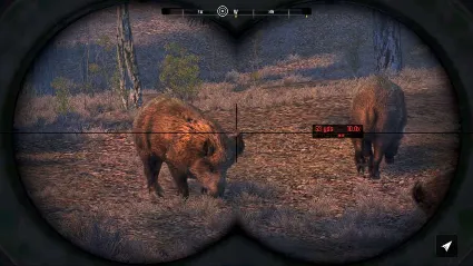 ⭐ Cabela's Big Game Hunter Pro Hunts Steam КЛЮЧ 🔑 GLOBAL