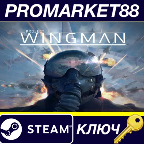 ⭐ Project Wingman Steam КЛЮЧ  GLOBAL