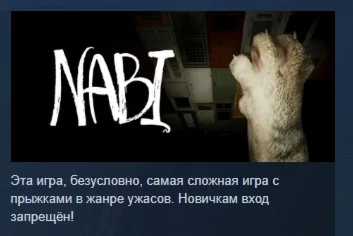 NABI  АВТОДОСТАВКА STEAM РОССИЯ