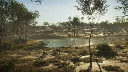 ⭐ theHunter: Call of the Wild - Emerald Coast Australia