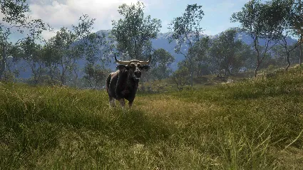 ⭐ theHunter: Call of the Wild - Emerald Coast Australia