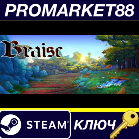 ⭐ Braise Steam КЛЮЧ  GLOBAL