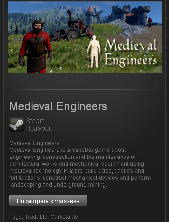 Medieval Engineers - STEAM Gift - Region RU+CIS+UA