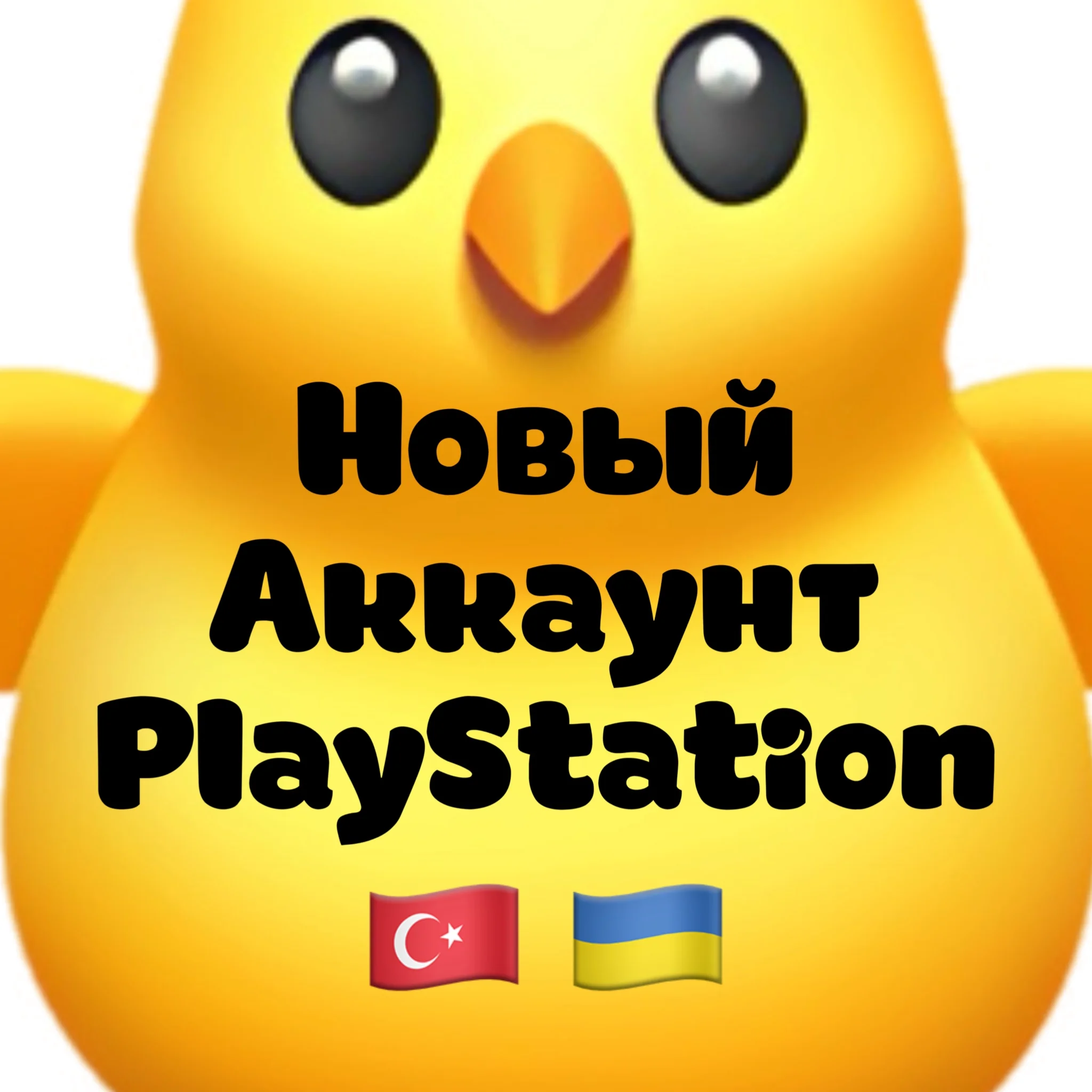 New Turkish/Ukrainian PSN Account AUTO 24/7
