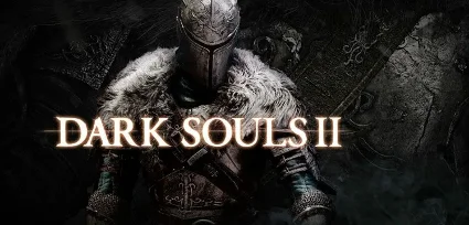 Dark Souls 2 (PS5/RUS) П3 - Активация
