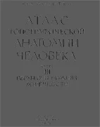 Атлас топ. анатомии человека Золотко Ю. т.II