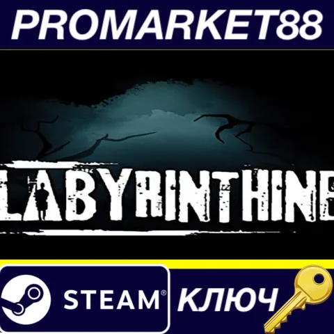 ⭐ Labyrinthine EU Steam КЛЮЧ  ЕВРОПА