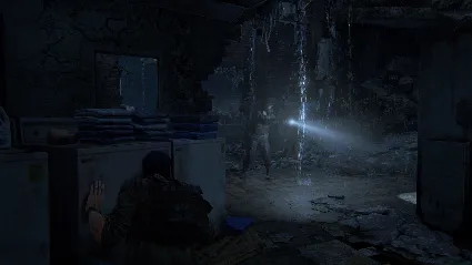 Одни из нас™: Часть II / Авто Steam Guard