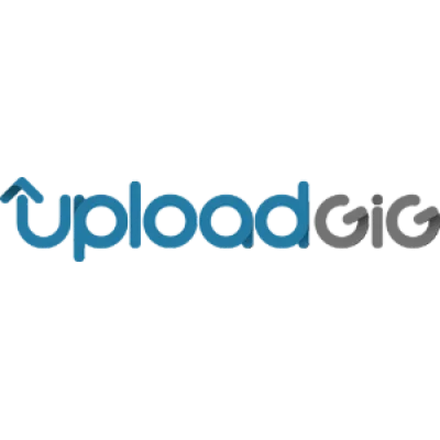 Купить премиум-аккаунт Uploadgig на 1 год