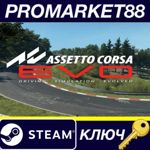 ⭐ Assetto Corsa EVO Steam КЛЮЧ  США