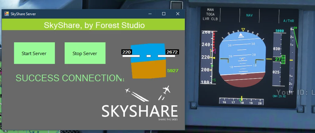  SkyShare: Shared Cockpit Controls | MSFS
