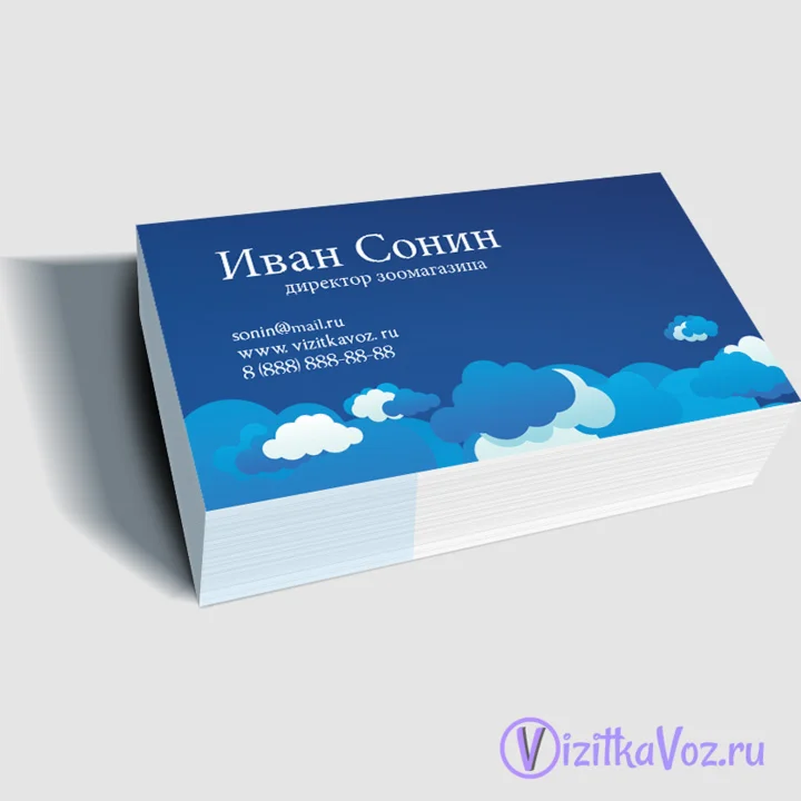 Визитка для зоомагазина 001