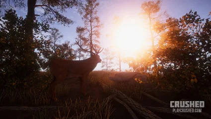 ⭐ Crushed Steam КЛЮЧ 🔑 GLOBAL