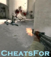 Cheatsfor Access 1 Months