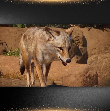 🟦 ⭐ Planet Zoo: Americas Animal Pack ⚡ Все регионы • STEAM