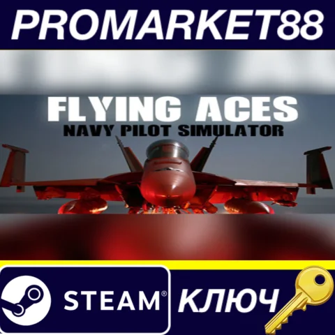 ⭐Flying Aces - Navy Pilot Simulator Steam КЛЮЧ GLOBAL