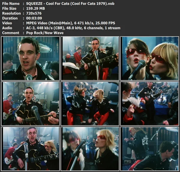 SQUEEZE - Cool For Cats