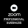 🤠 Zoom Pro/Bussiness 1-12 мес  — фото 1