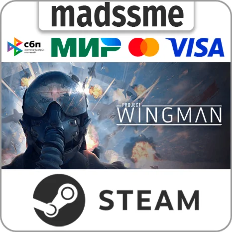 Project Wingman * RU/KZ/СНГ/TR/AR * STEAM  АВТО