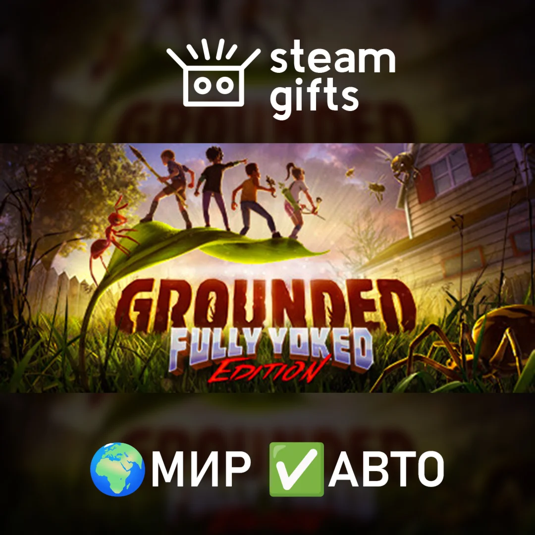 Grounded МИР АВТО