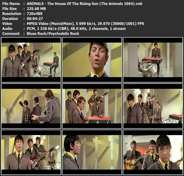 ANIMALS - The House Of The Rising Sun