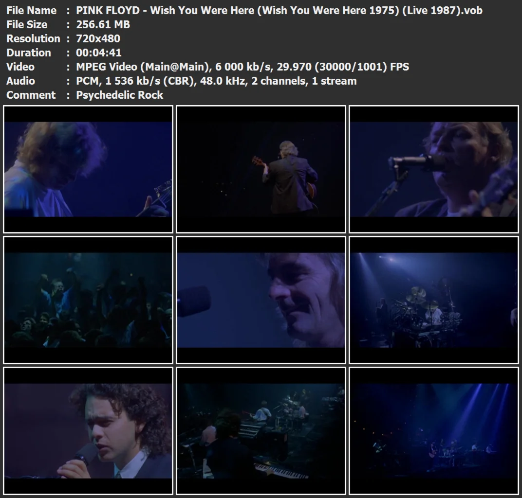 PINK FLOYD - Wish You Were Here