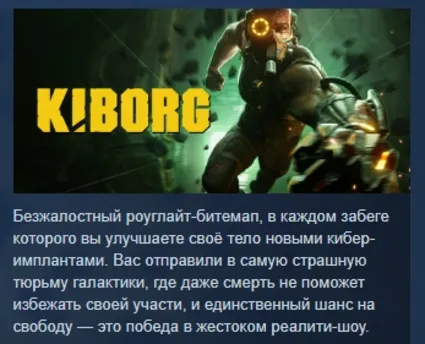KIBORG 💎 АВТОДОСТАВКА STEAM РОССИЯ