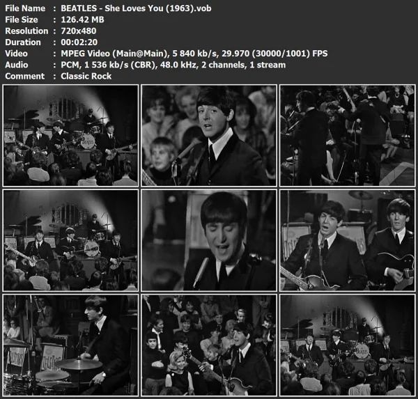 BEATLES - She Loves You