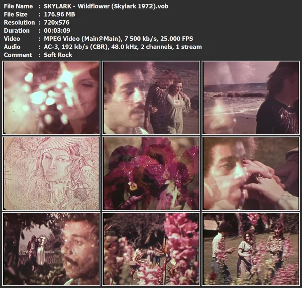 SKYLARK - Wildflower